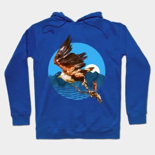 Eagles Fly Hoodie